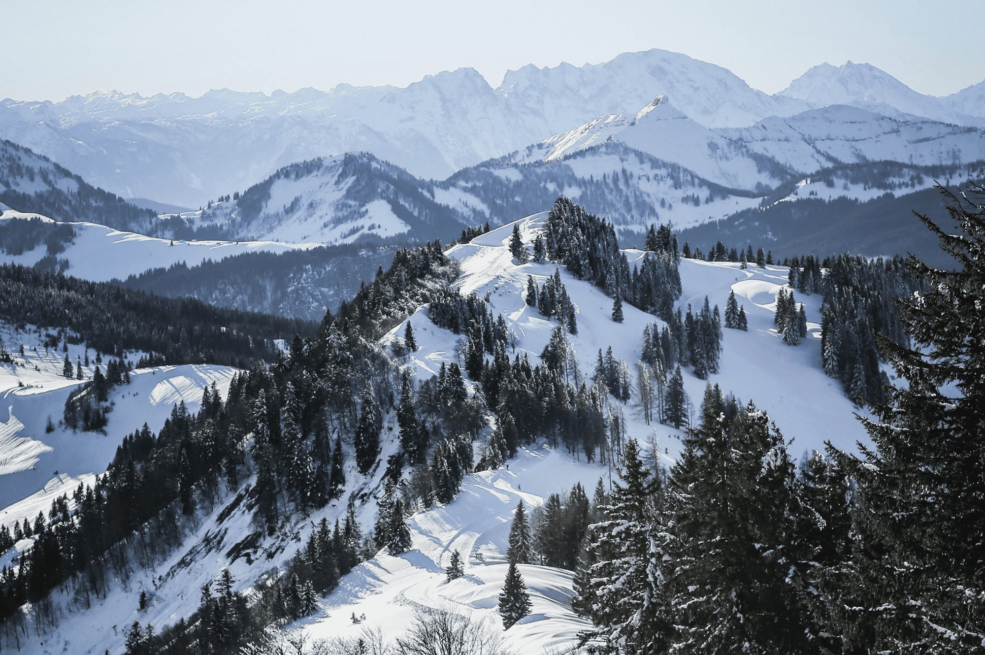 Winter Mountains And Forest